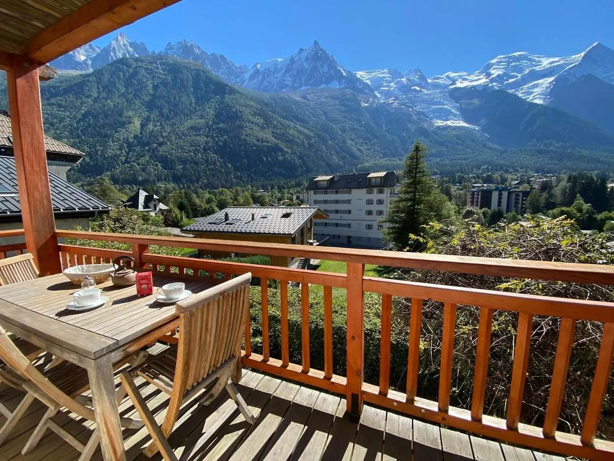 Apartment Appartement De Standing Avec Balcon Et Wifi A Chamonix - Fr-1-343-176